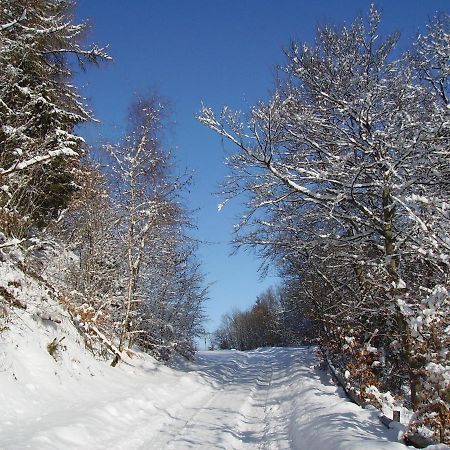 Ferienwohnung Sauerlandblick Goldhausen Zewnętrze zdjęcie
