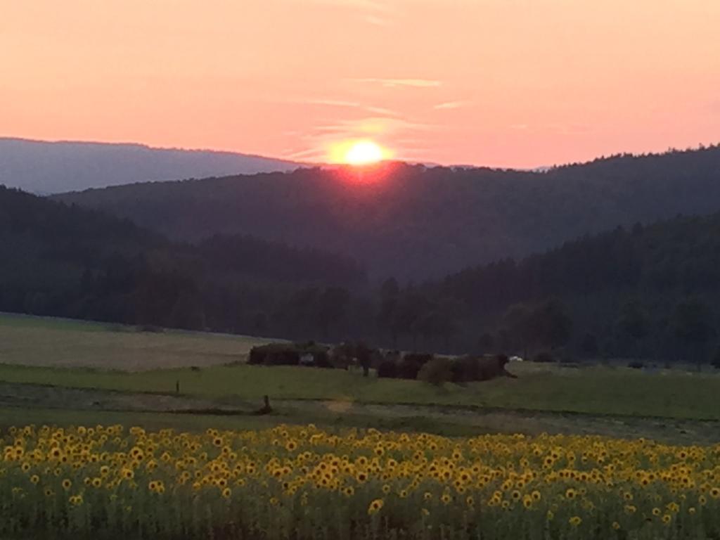 Ferienwohnung Sauerlandblick Goldhausen Zewnętrze zdjęcie